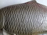 CARPE WF 27P