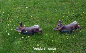 LAPIN A LA COURSE WF 6P