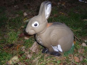 LAPIN ASSIS 1
