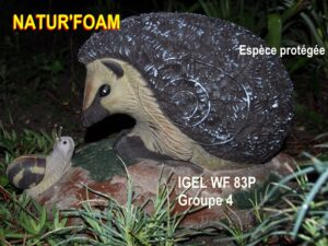 IGEL ET ESCARGOT WF 83P