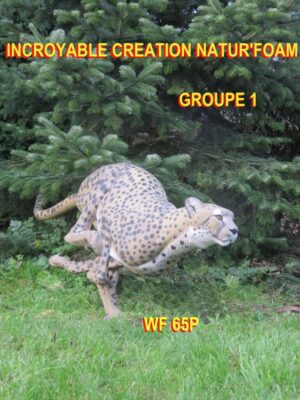 GUEPARD A LA COURSE WF 65P