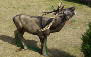 CERF AU BRAME WF 21P