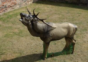 CERF AU BRAME WF 21P