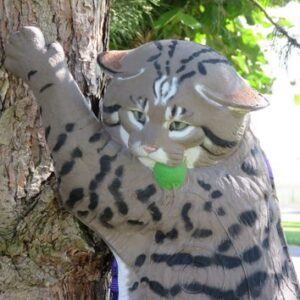 CHAT FORESTIER GRIMPANT WF 64P