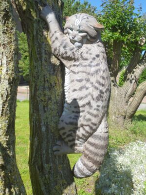 CHAT FORESTIER GRIMPANT WF 64P