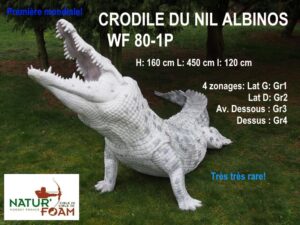 CROCODILE DU NIL ALBINOS WF 80-1P