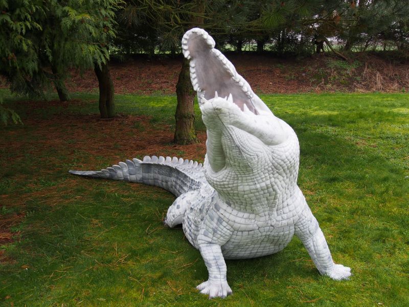 CROCODILE DU NIL ALBINOS WF 80-1P – Image 4