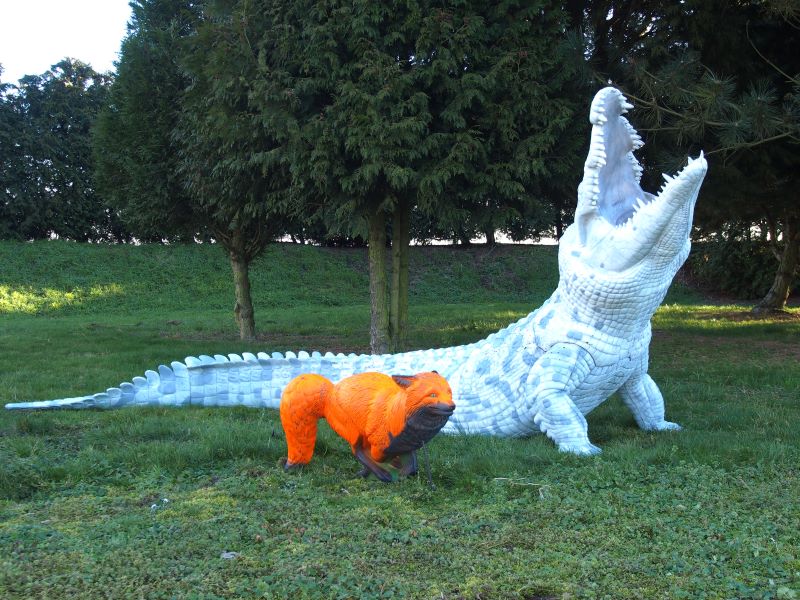 CROCODILE DU NIL ALBINOS WF 80-1P – Image 3