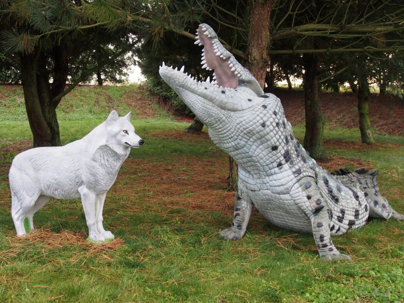 CROCODILE DU NIL ALBINOS WF 80-1P – Image 10