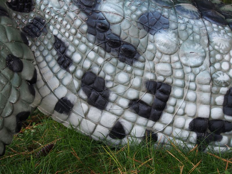CROCODILE DU NIL ALBINOS WF 80-1P – Image 12