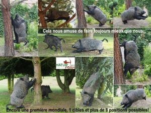 GROS SANGLIER WF 90P