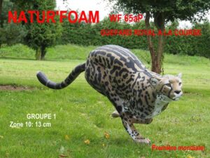 GUEPARD ROYAL A LA COURSE WF 65 aP