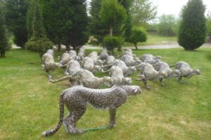 GUEPARD MARCHANT WF 42P