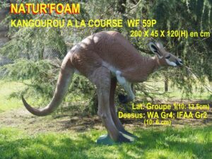 KANGOUROU A LA COURSE WF 59P
