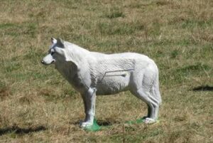 LOUP BLANC ARCTIQUE WF 87P