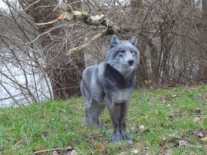 LOUP DEBOUT WF 43P