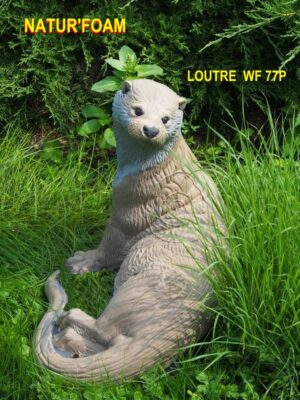 LOUTRE WF 77P