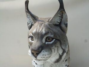 LYNX MARCHANT WF 30P