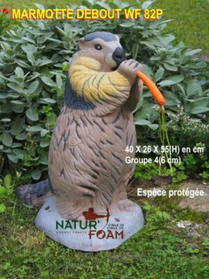 MARMOTTE DEBOUT WF 82P