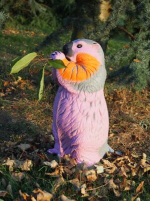 MARMOTTE ROSE WF 82-1P