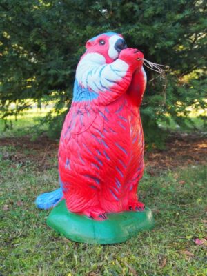 MARMOTTE ROUGE WF 82-3P