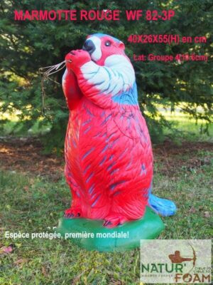 MARMOTTE ROUGE WF 82-3P