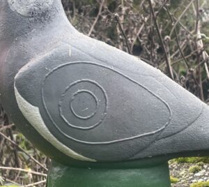 PIGEON WF9P