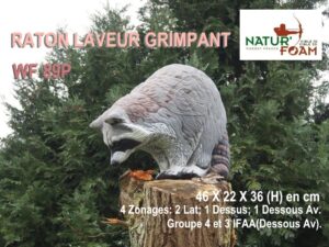 RATON LAVEUR GRIMPANT WF 89P