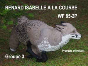 RENARD A LA COURSE ISABELLE WF 85-2P