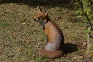 RENARD ASSIS WF 14P