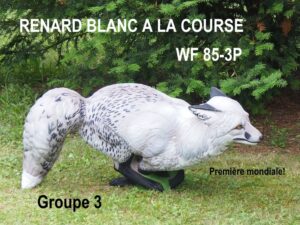 RENARD A LA COURSE BLANC WF 85-3P