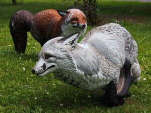 RENARD A LA COURSE BLANC WF 85-3P