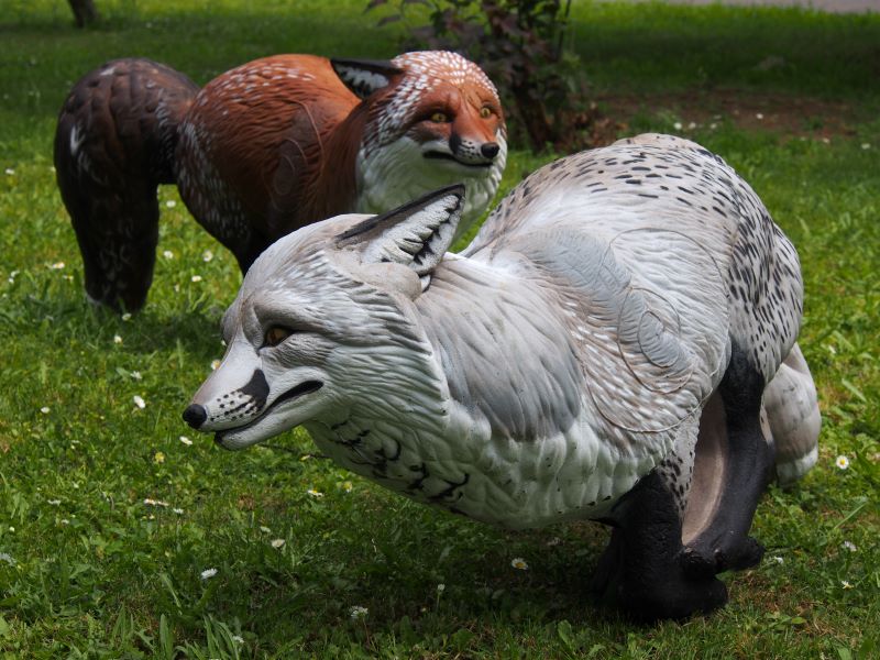 Fuchs