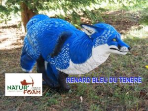 RENARD A LA COURSE BLEU DU TENERE WF 85-5P