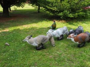 RENARD A LA COURSE ISABELLE WF 85-2P