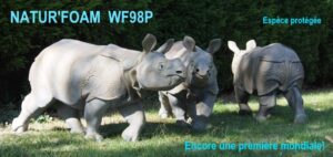 RHINOCEROS INDIEN WF 98P