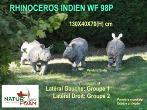 RHINOCEROS INDIEN WF 98P