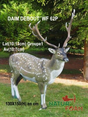 DAIM DEBOUT WF 62P
