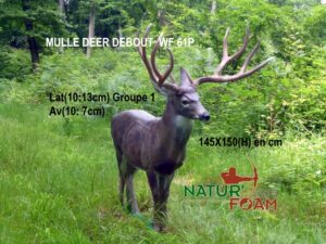 MULE DEER DEBOUT WF 61P