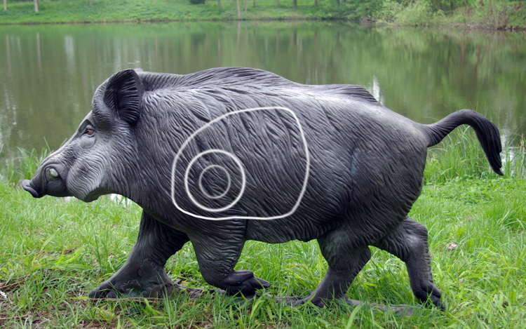 Wildschwein / Keiler
