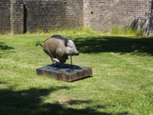 SANGLIER A LA COURSE WF 23 P