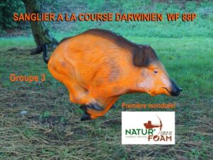 SANGLIER DARWINIEN WF 88P