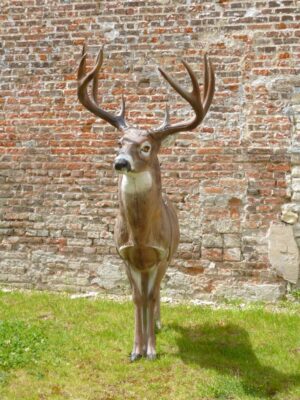 WHITETAIL DEBOUT WF 60P