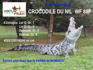 CROCODILE DU NIL WF 80P