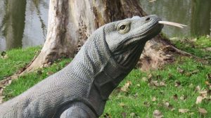 DRAGON ou VARAN DE KOMODO WF 72P