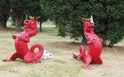DRAGON ROUGE WF 91P
