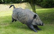GROS SANGLIER WF 90P