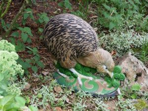 KIWI WF 78P