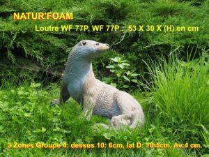 LOUTRE WF 77P