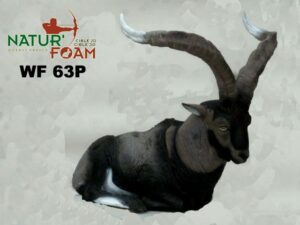 MACHO MONTES GITE (DE GREDOS) WF 63P